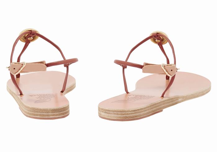 Sandales Bride Arrière Ancient Greek Sandals Dimitra Flip Flop   | KGY-8276303